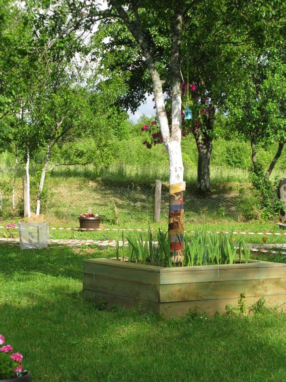 רקוביצה Apartments Eco Forest Resort מראה חיצוני תמונה