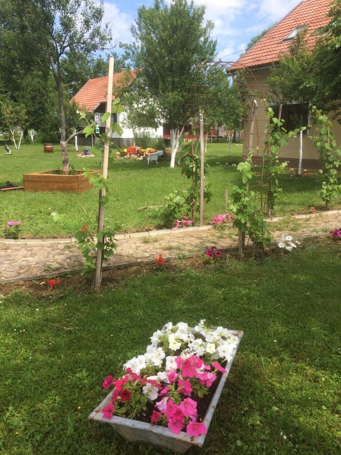 רקוביצה Apartments Eco Forest Resort מראה חיצוני תמונה