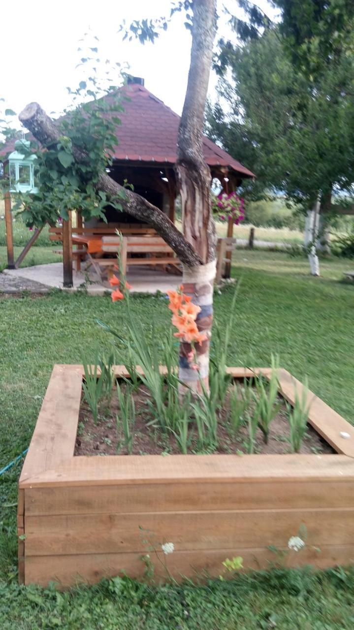 רקוביצה Apartments Eco Forest Resort מראה חיצוני תמונה